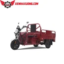 Xe Điện 3 Bánh Chở Hàng Nhà Xưởng
