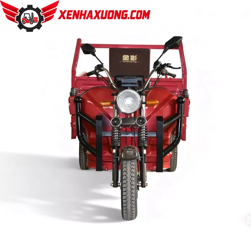 Xe Điện 3 Bánh Chở Hàng Trung Quốc 6 Xe Điện 3 Bánh Chở Hàng Trung Quốc - Ảnh 6