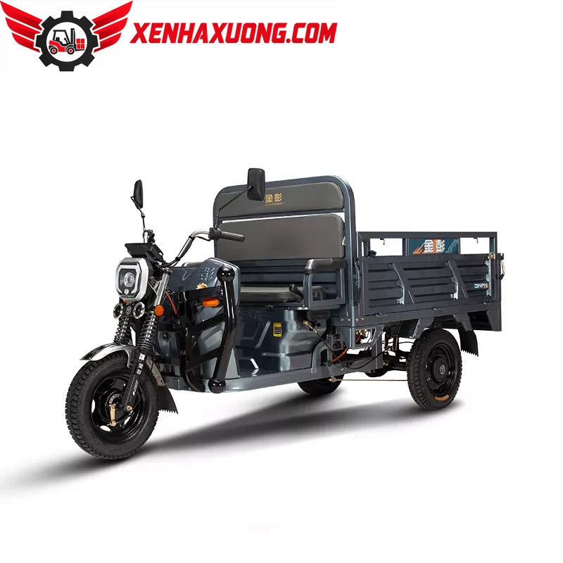 Xe 3 Bánh Chạy Điện Chở Hàng Ắc Quy 60/72V 100AH