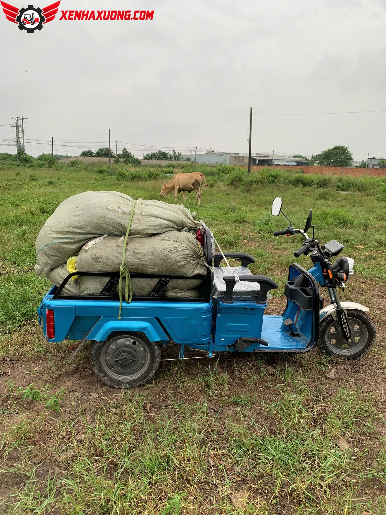 Xe Điện 3 Bánh Chở Hàng 200kg Mingma 14 Xe Điện 3 Bánh Chở Hàng 200kg Mingma - Ảnh 14